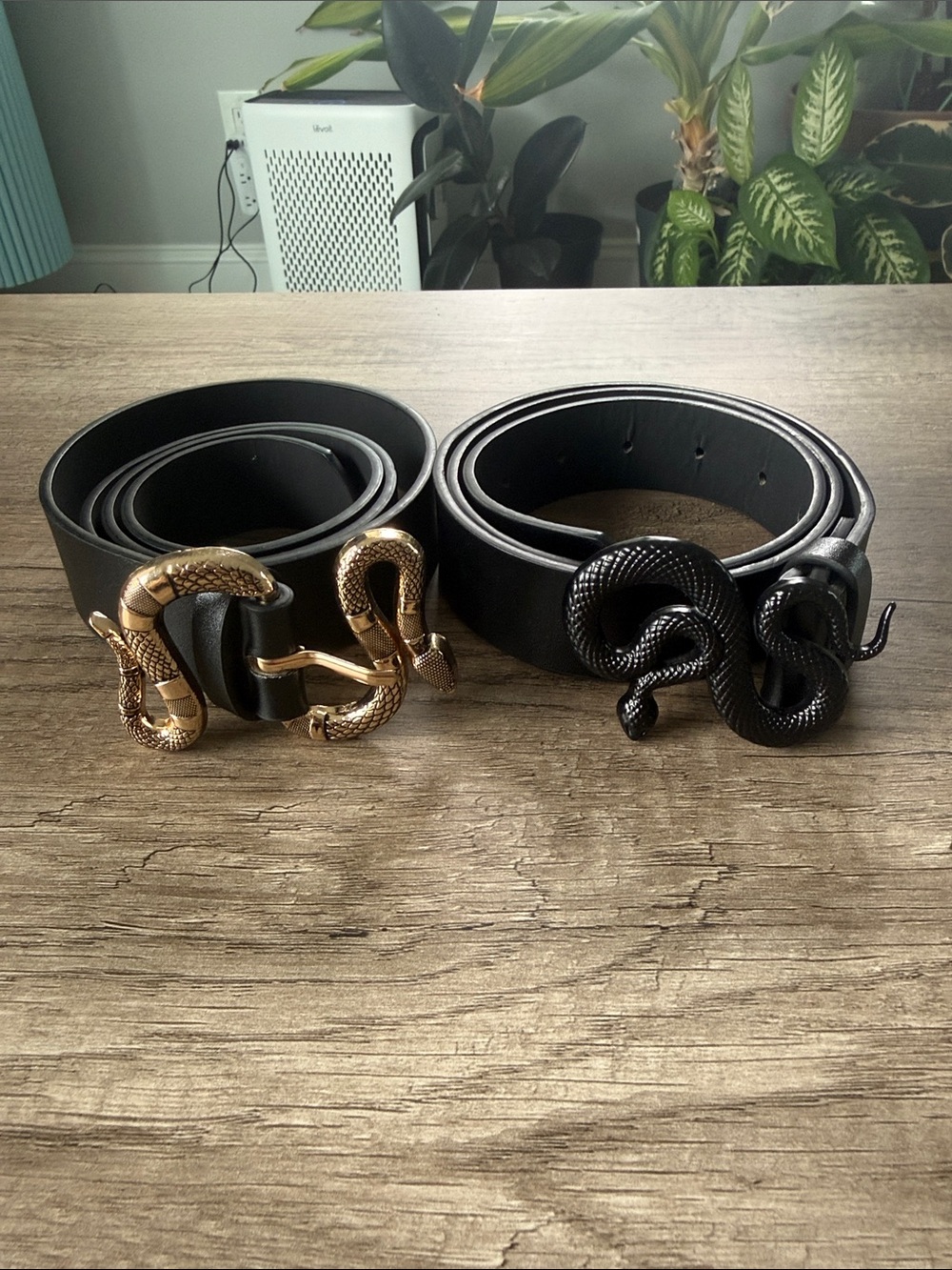 Black Leather Women’s Belt with Snake Buckle - Gold or Black Finish